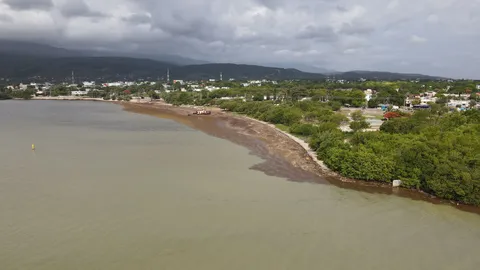 Sargazo — PLAYA MALECON (Sur)